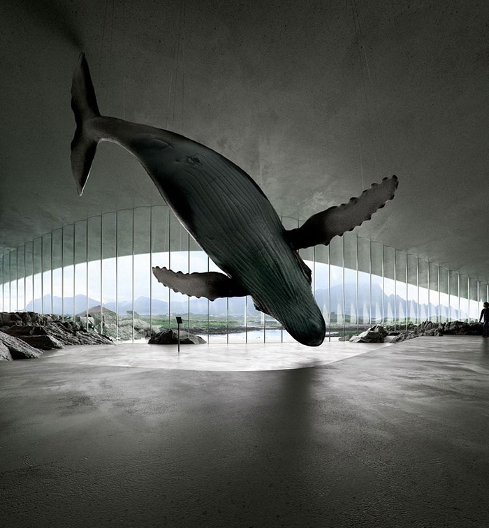 Impressive Whale Watching Museum To Be Opened In Norway And The Images Look Majestic Impressive Whale Watching Museum To Be Opened In Norway And The Images Look Majestic