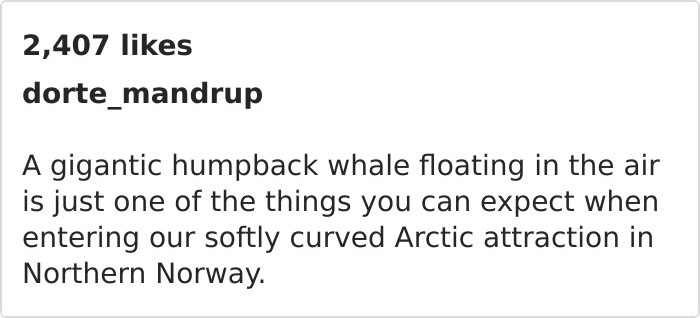 Impressive Whale Watching Museum To Be Opened In Norway And The Images Look Majestic Impressive Whale Watching Museum To Be Opened In Norway And The Images Look Majestic