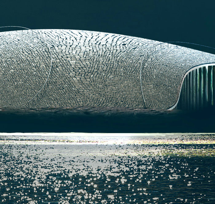 Impressive Whale Watching Museum To Be Opened In Norway And The Images Look Majestic Impressive Whale Watching Museum To Be Opened In Norway And The Images Look Majestic
