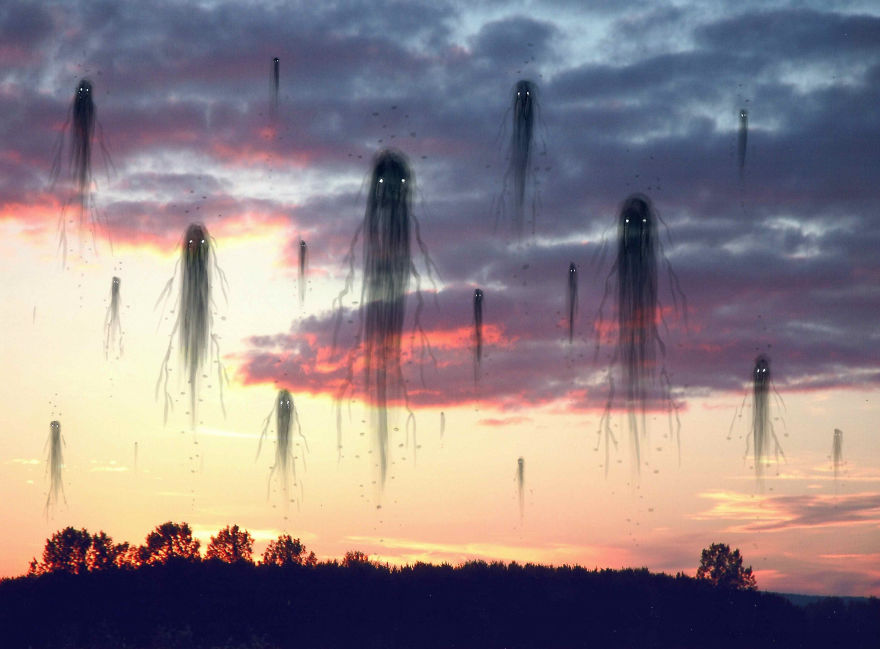 Their Spirits Rise At Sundown