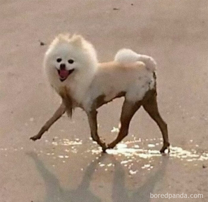 When You're In The Back Doing Dishes, But You Have To Go Out And Greet A Customer: