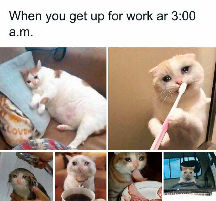 Opening Be Like This