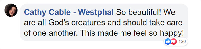 This Thirsty Armadillo Flagged Down A Car To Ask For Help This Thirsty Armadillo Flagged Down A Car To Ask For Help