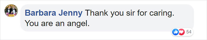 This Thirsty Armadillo Flagged Down A Car To Ask For Help This Thirsty Armadillo Flagged Down A Car To Ask For Help