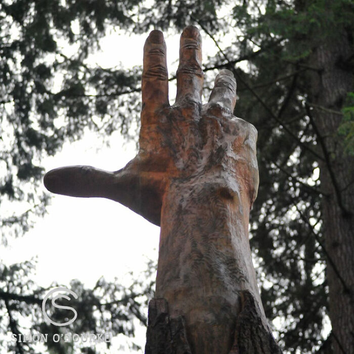 Storm-Damaged Tree In Wales Gets Transformed Into A 50 Ft Hand Worth $16,000