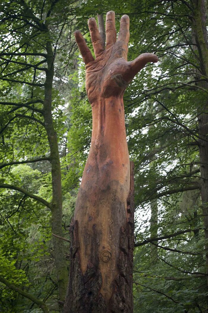 Storm-Damaged Tree In Wales Gets Transformed Into A 50 Ft Hand Worth $16,000 Storm-Damaged Tree In Wales Gets Transformed Into A 50 Ft Hand Worth $16,000