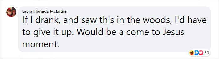 Storm-Damaged Tree In Wales Gets Transformed Into A 50 Ft Hand Worth $16,000 Storm-Damaged Tree In Wales Gets Transformed Into A 50 Ft Hand Worth $16,000