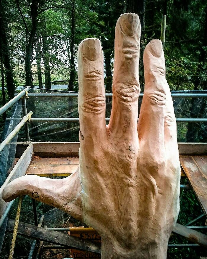 Storm-Damaged Tree In Wales Gets Transformed Into A 50 Ft Hand Worth $16,000 Storm-Damaged Tree In Wales Gets Transformed Into A 50 Ft Hand Worth $16,000