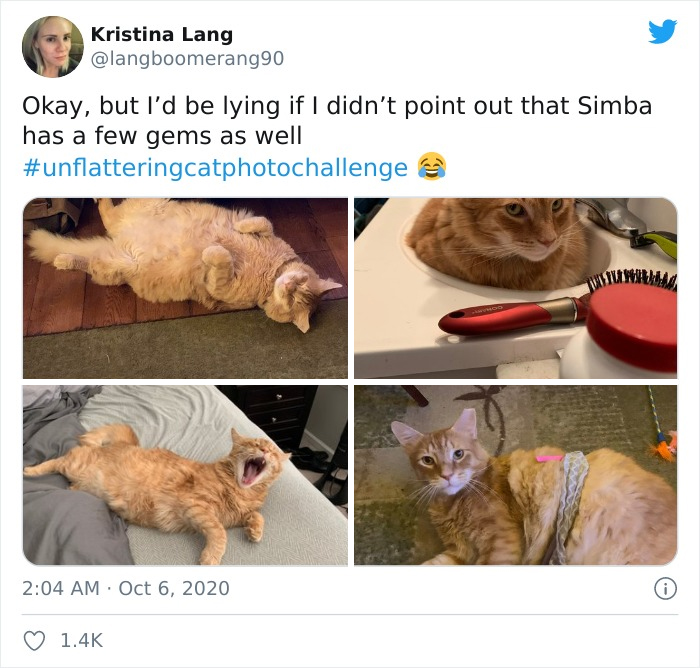 Unflattering-Cat-Photo-Challenge