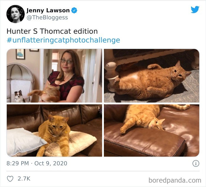 Unflattering-Cat-Photo-Challenge