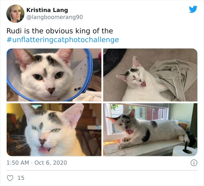 Unflattering-Cat-Photo-Challenge