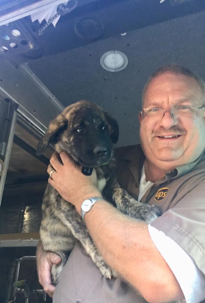 UPS-Delivery-Driver-Dogs-Scott-Hodges