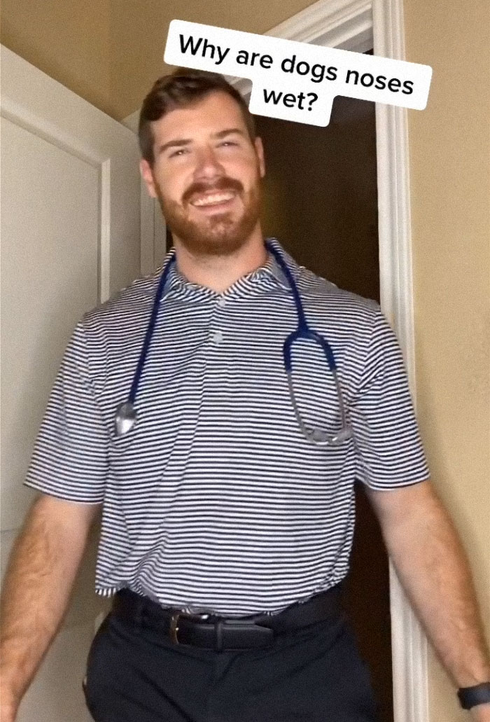 TikTok-Famous Vet Addresses The Most Common Mistakes Pet Owners Are Making TikTok-Famous Vet Addresses The Most Common Mistakes Pet Owners Are Making