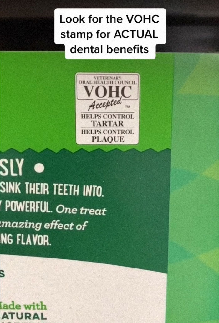 TikTok-Famous Vet Addresses The Most Common Mistakes Pet Owners Are Making TikTok-Famous Vet Addresses The Most Common Mistakes Pet Owners Are Making