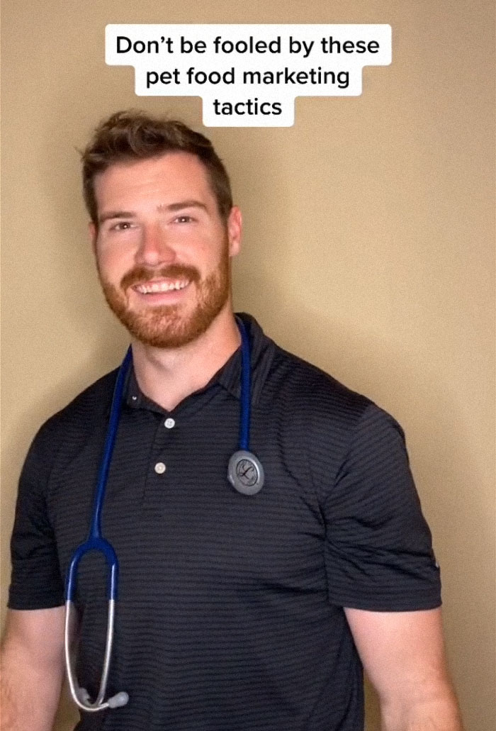 TikTok-Famous Vet Addresses The Most Common Mistakes Pet Owners Are Making