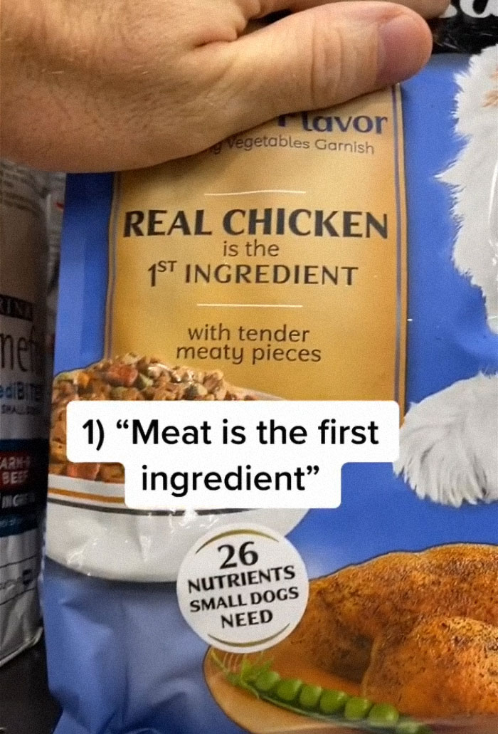 TikTok-Famous Vet Addresses The Most Common Mistakes Pet Owners Are Making