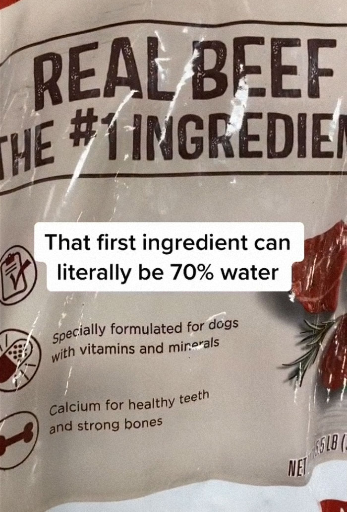 TikTok-Famous Vet Addresses The Most Common Mistakes Pet Owners Are Making