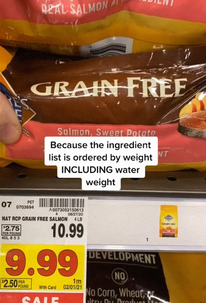 TikTok-Famous Vet Addresses The Most Common Mistakes Pet Owners Are Making