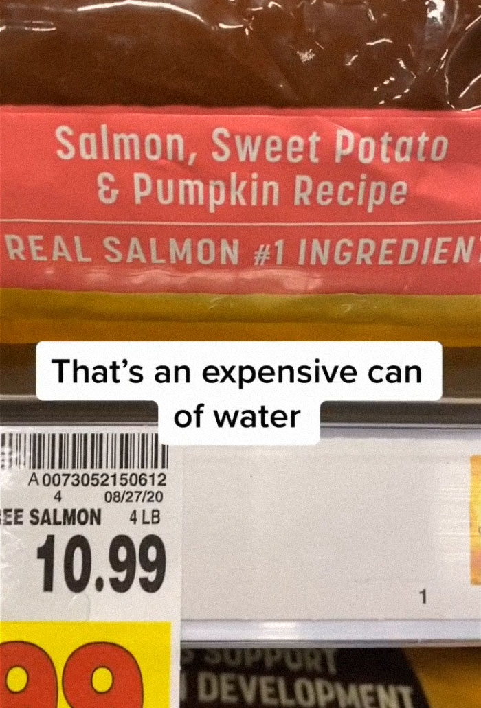 TikTok-Famous Vet Addresses The Most Common Mistakes Pet Owners Are Making