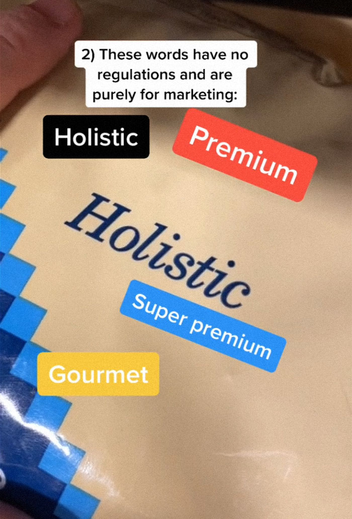 TikTok-Famous Vet Addresses The Most Common Mistakes Pet Owners Are Making TikTok-Famous Vet Addresses The Most Common Mistakes Pet Owners Are Making