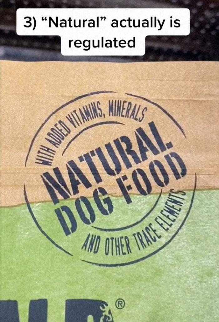 TikTok-Famous Vet Addresses The Most Common Mistakes Pet Owners Are Making