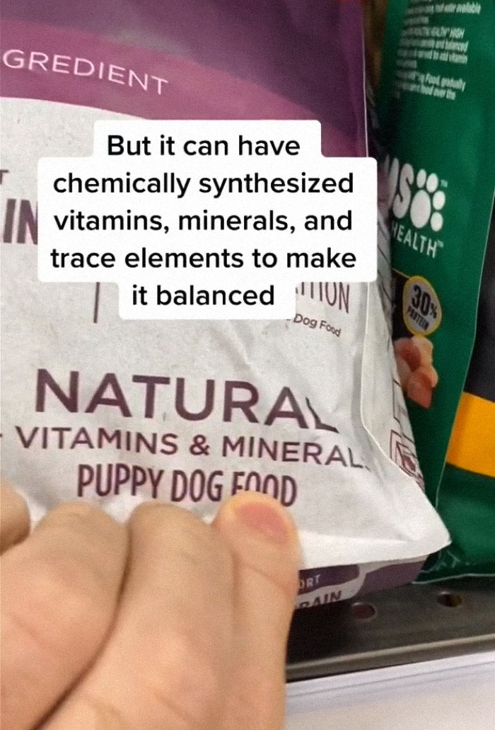 TikTok-Famous Vet Addresses The Most Common Mistakes Pet Owners Are Making