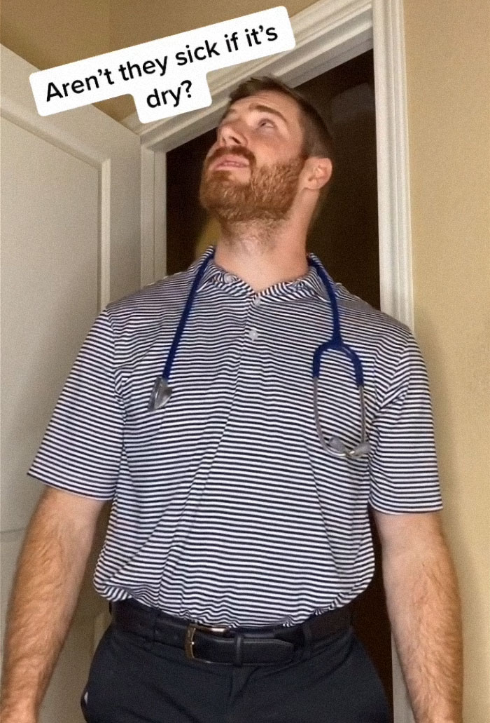 TikTok-Famous Vet Addresses The Most Common Mistakes Pet Owners Are Making