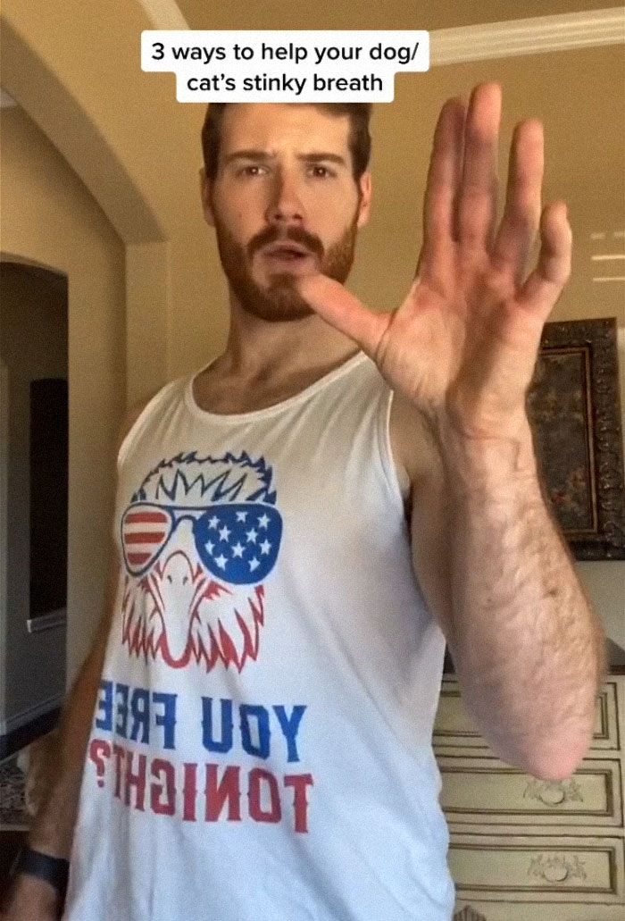 TikTok-Famous Vet Addresses The Most Common Mistakes Pet Owners Are Making