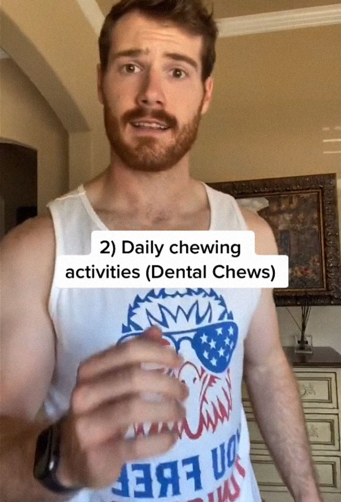 TikTok-Famous Vet Addresses The Most Common Mistakes Pet Owners Are Making