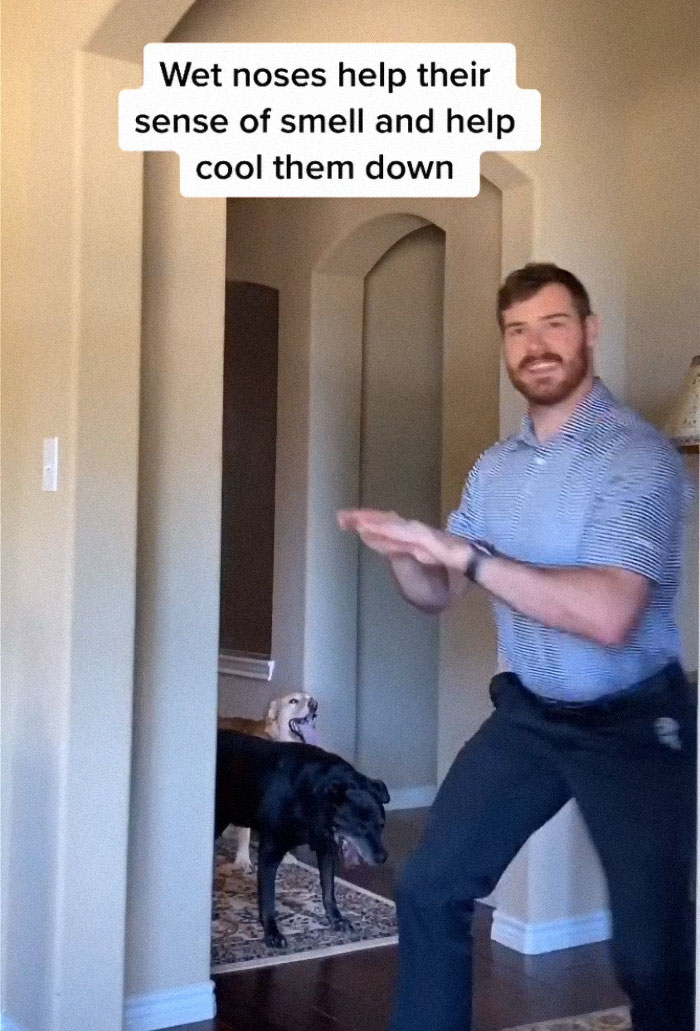 TikTok-Famous Vet Addresses The Most Common Mistakes Pet Owners Are Making TikTok-Famous Vet Addresses The Most Common Mistakes Pet Owners Are Making