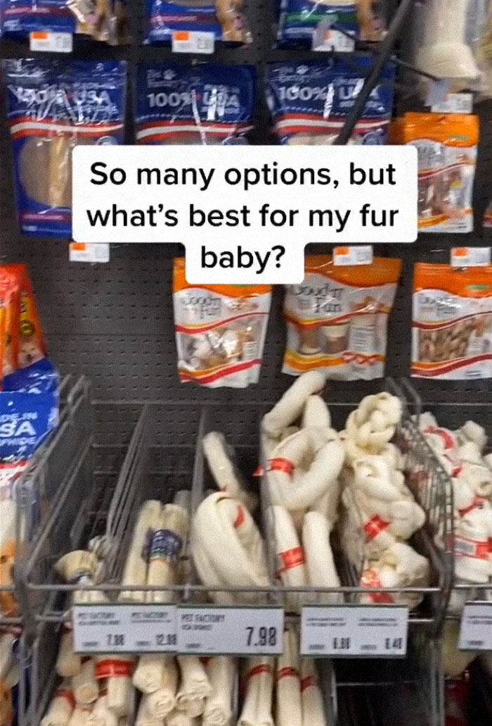 TikTok-Famous Vet Addresses The Most Common Mistakes Pet Owners Are Making