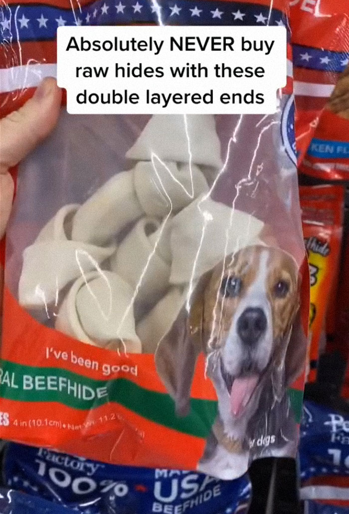 TikTok-Famous Vet Addresses The Most Common Mistakes Pet Owners Are Making