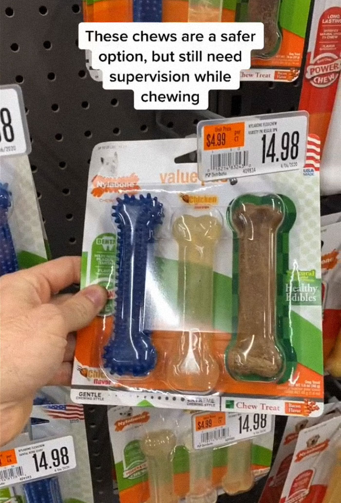 TikTok-Famous Vet Addresses The Most Common Mistakes Pet Owners Are Making