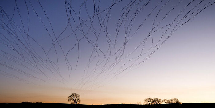 Highly Commended: 'Trails At Dusk' By Kathryn Cooper