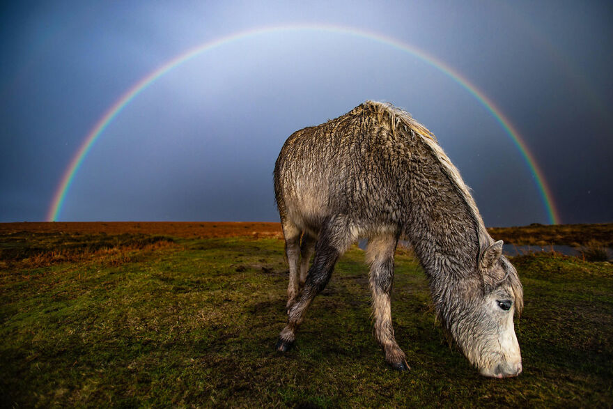 Public's Winner: 3rd Place 'Under The Rainbow' By Joann Randles