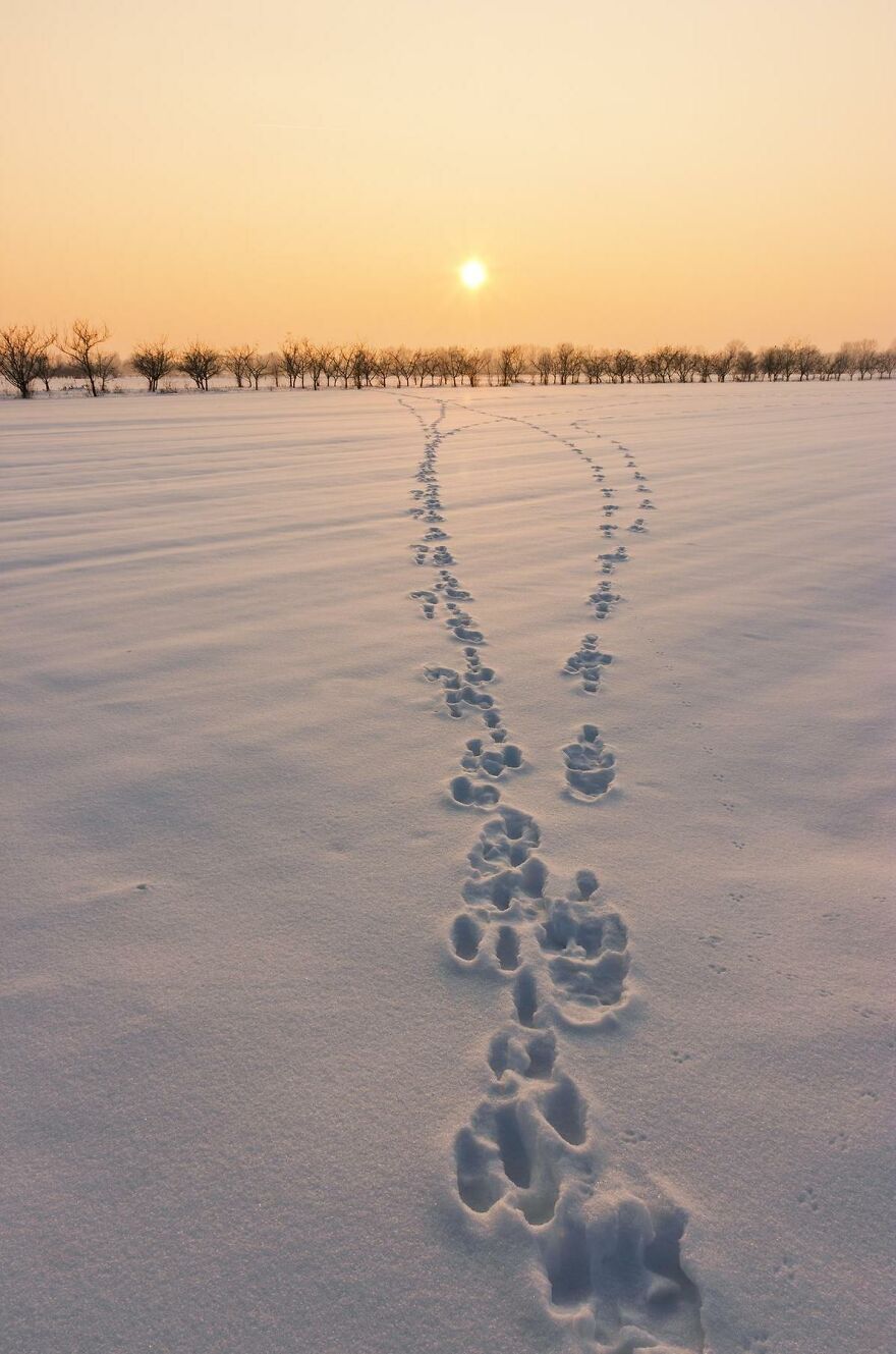 Finalist 'Winter Sunset' By Ivicabrlic