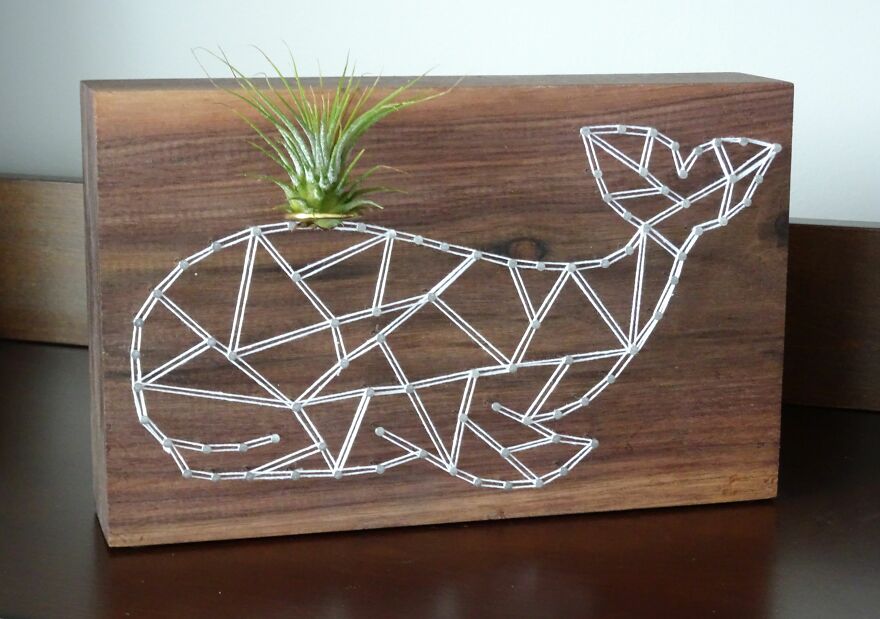 Freaking Adorable Air Plant Holders