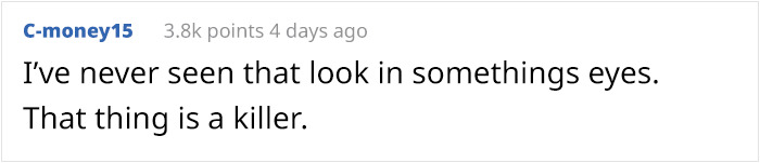 What Could Go Wrong If You Put A Dog On A Diet? Watch This Owner Learn The Hard Way