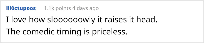 What Could Go Wrong If You Put A Dog On A Diet? Watch This Owner Learn The Hard Way