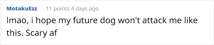 What Could Go Wrong If You Put A Dog On A Diet? Watch This Owner Learn The Hard Way What Could Go Wrong If You Put A Dog On A Diet? Watch This Owner Learn The Hard Way