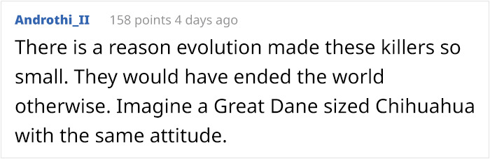 What Could Go Wrong If You Put A Dog On A Diet? Watch This Owner Learn The Hard Way