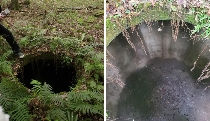 Buried Structure In The Woods Near Suwanee River State Park Not Certain On Depth Maybe 15ft Deep And Bowls Out Very Wide. Witt