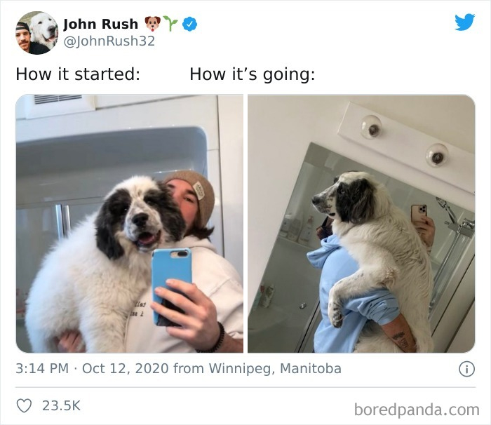 Wholesome-How-It-Started-vs.-Ended-Posts