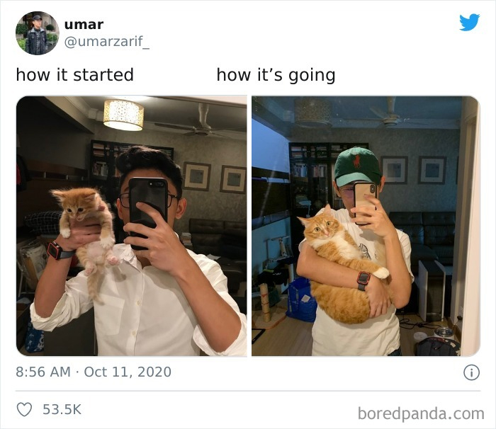 Wholesome-How-It-Started-vs.-Ended-Posts