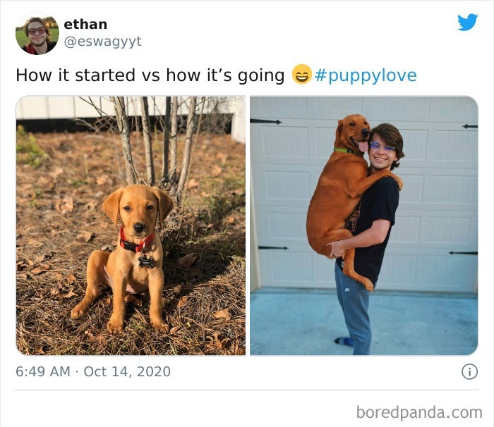 Wholesome-How-It-Started-vs.-Ended-Posts