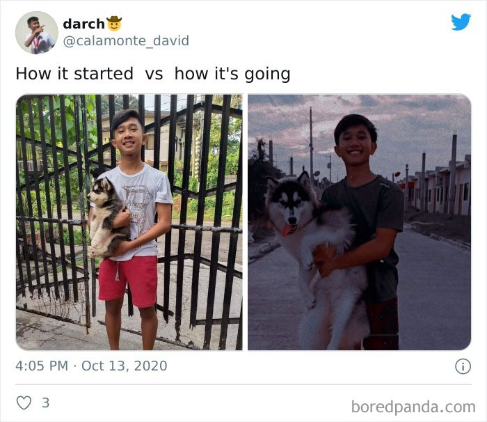 Wholesome-How-It-Started-vs.-Ended-Posts