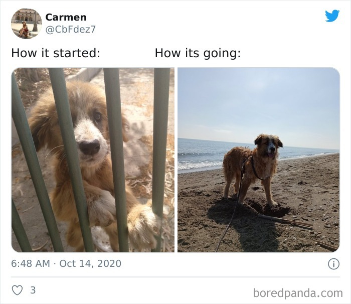 Wholesome-How-It-Started-vs.-Ended-Posts