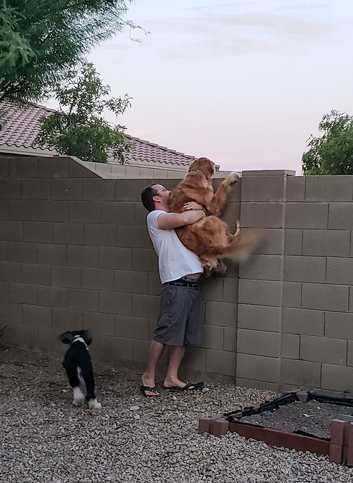 With The Whole Coronavirus Our Dog, Cooper Has Not Been Able To Play With Our Next-Door Neighbor's Dog, Lucy. My Husband Will Lift Cooper Up Just So He Can Say Hi To Lucy