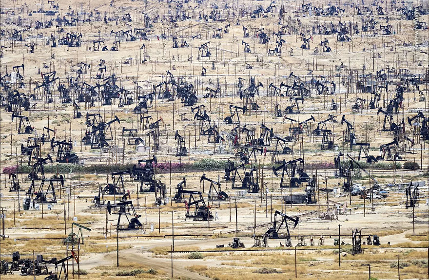 Wildlife Photojournalism Highly Commended: "The Price Of Oil" By Andrew S Wright