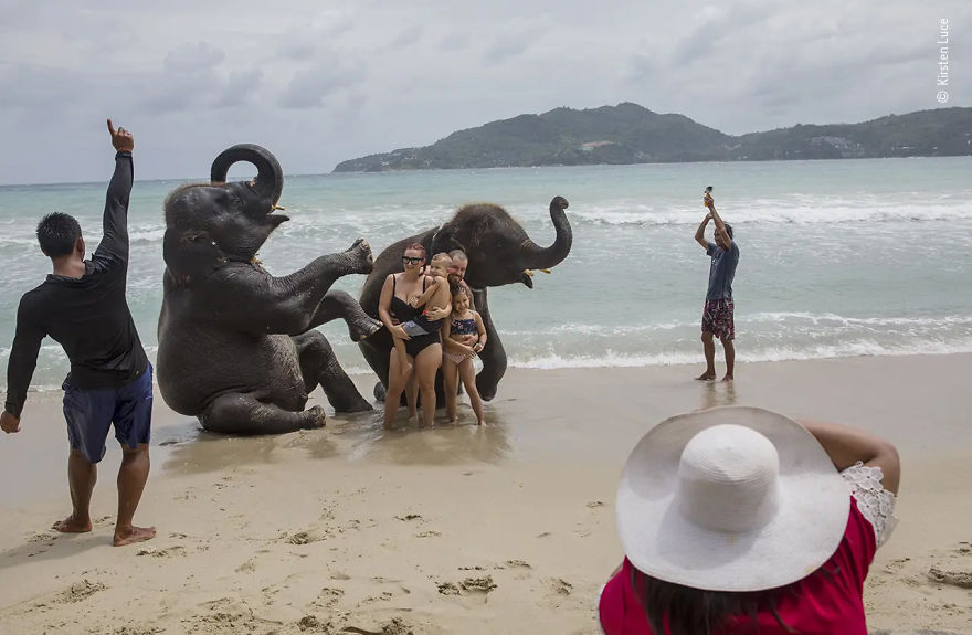 Wildlife Photojournalism Highly Commended: "Look Happy Or Else" By Kirsten Luce